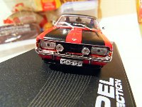 SDC12380.jpg