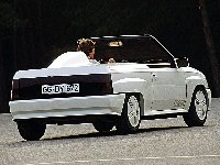 CorA_Sp82c.jpg