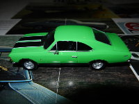 opala2.jpg