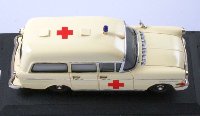 Hostaro-7.jpg