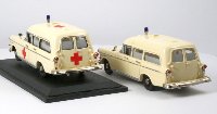 Hostaro-5.jpg